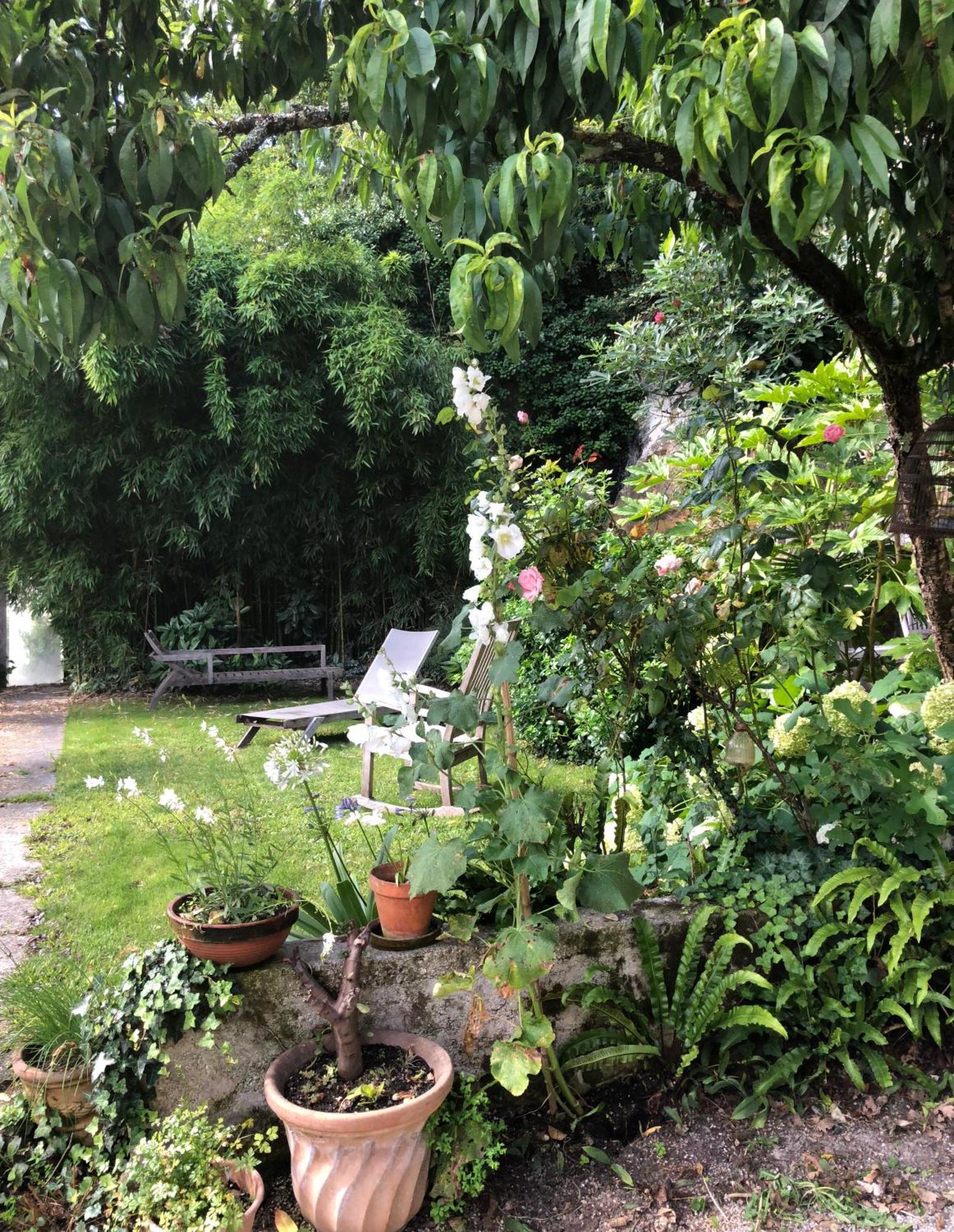 L'Heure Bleue Bed & Breakfast Saintes Eksteriør bilde